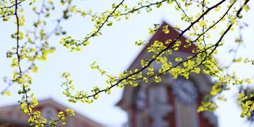 PG电子·仿照器(试玩游戏)官方网站