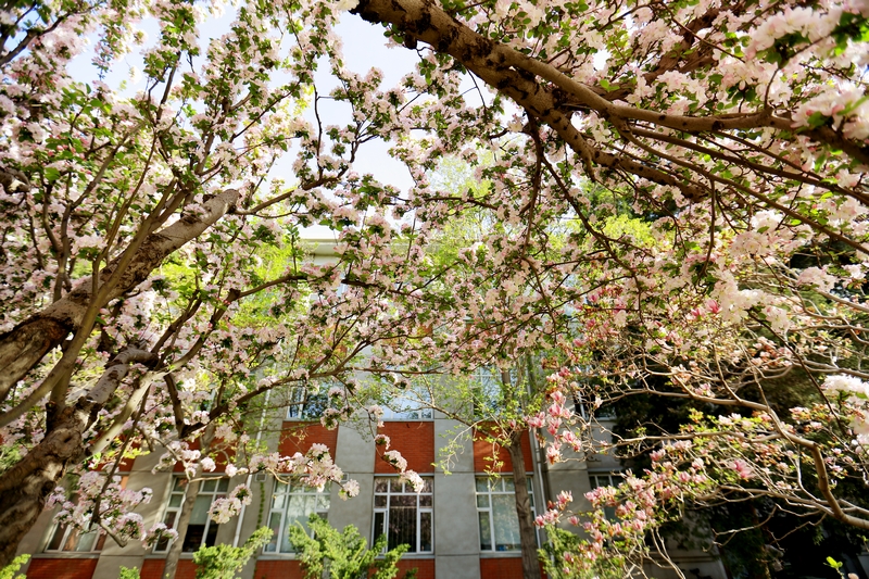 PG电子·仿照器(试玩游戏)官方网站