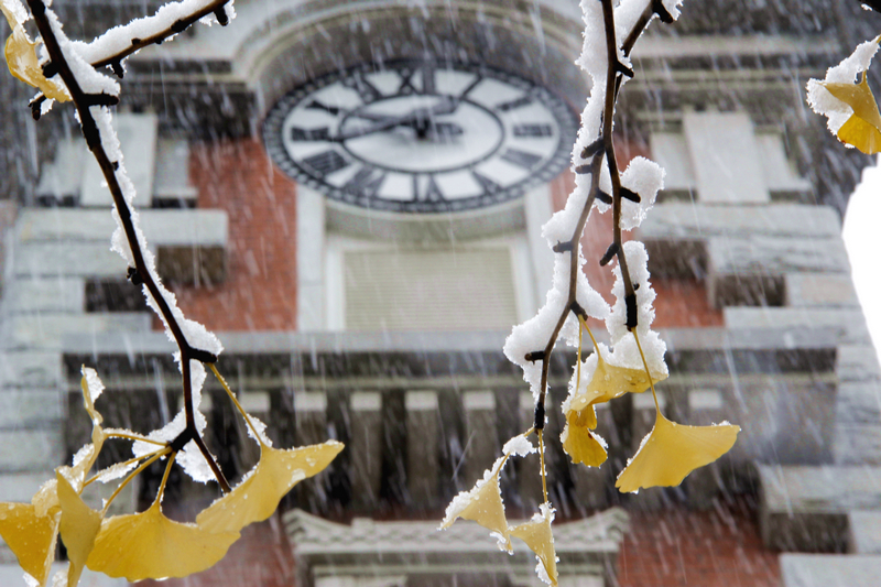 PG电子·仿照器(试玩游戏)官方网站