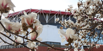 PG电子·仿照器(试玩游戏)官方网站