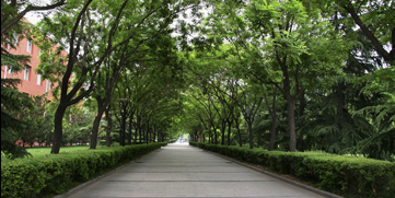 PG电子·仿照器(试玩游戏)官方网站