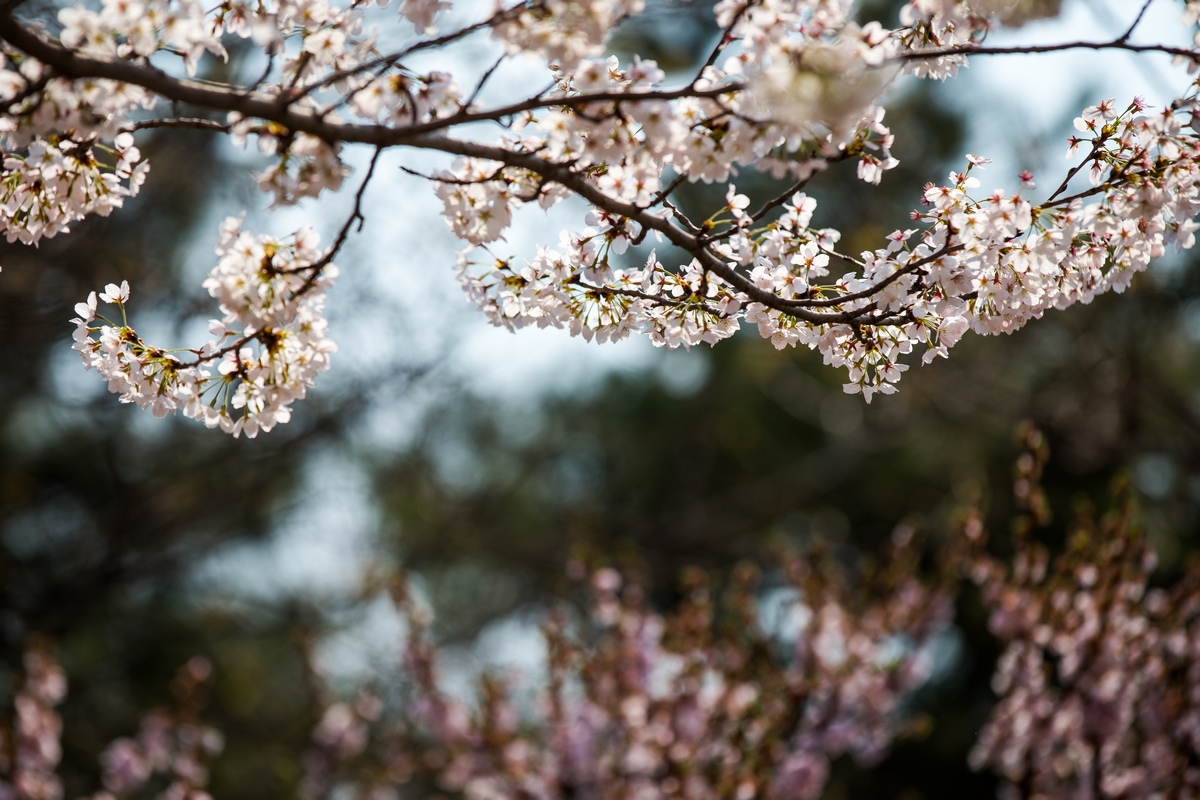 PG电子·仿照器(试玩游戏)官方网站