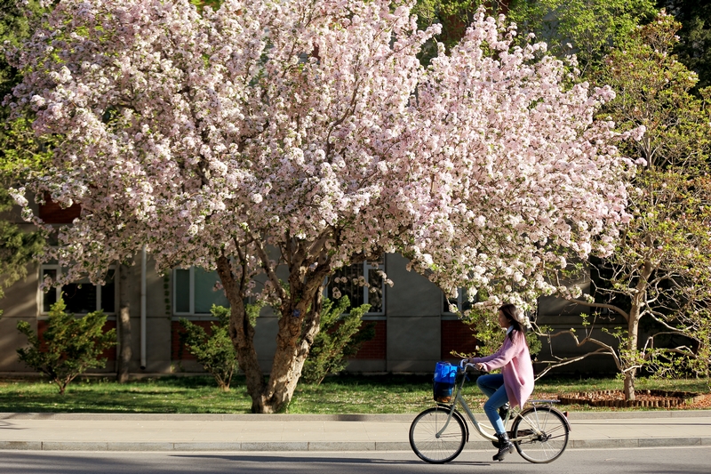 PG电子·仿照器(试玩游戏)官方网站