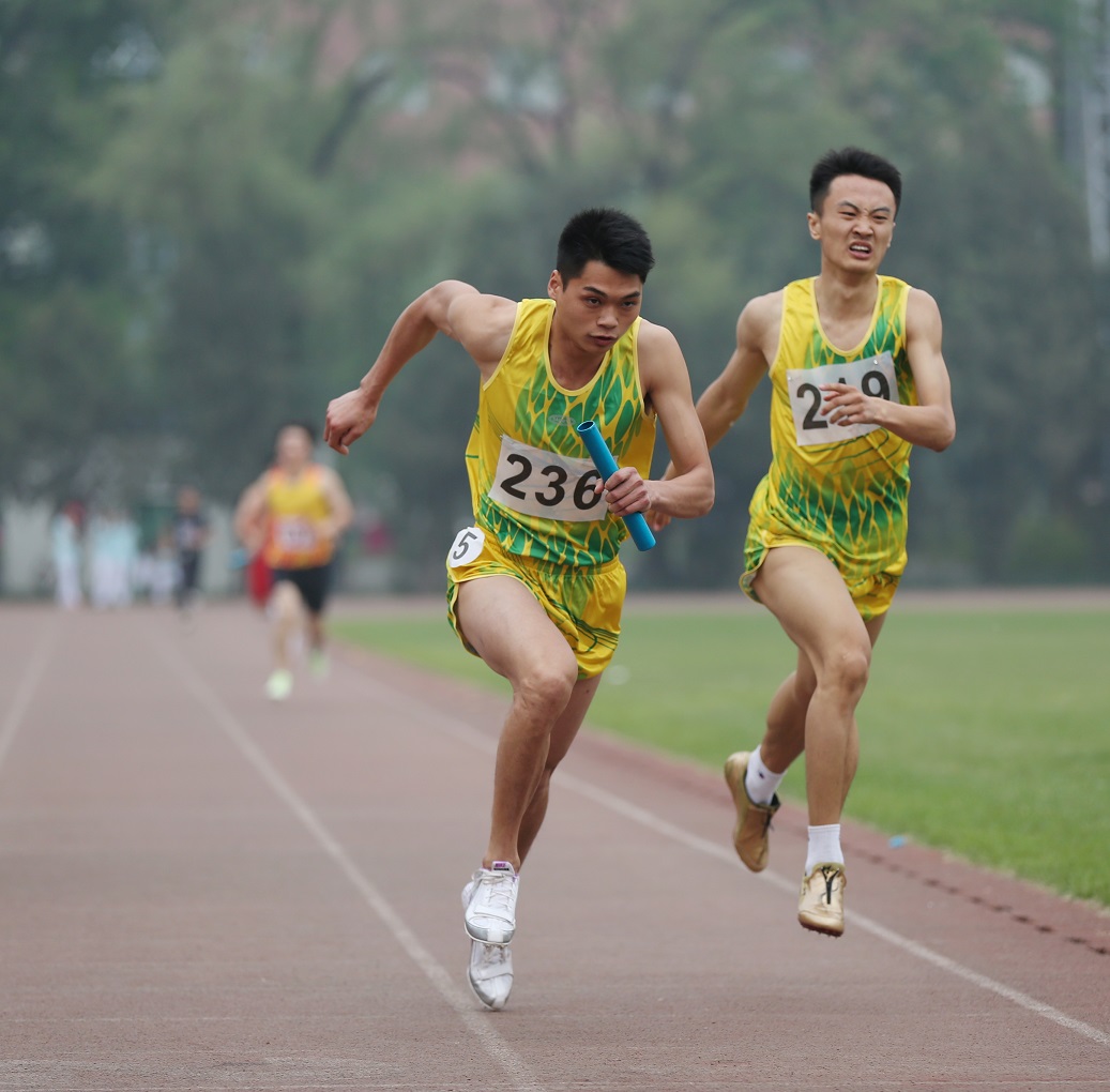 PG电子·仿照器(试玩游戏)官方网站