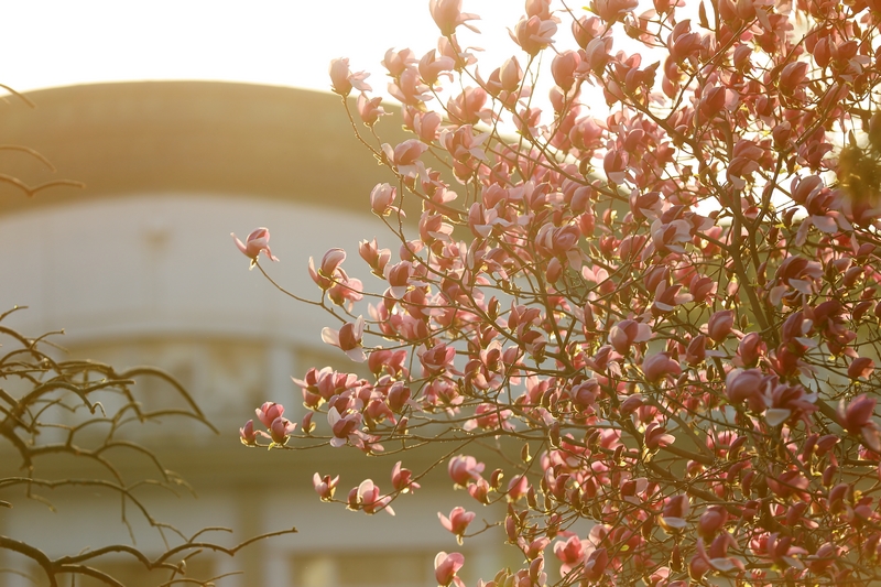 PG电子·仿照器(试玩游戏)官方网站