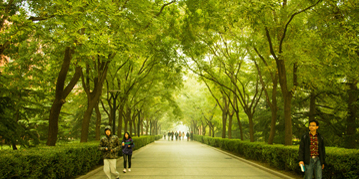 PG电子·仿照器(试玩游戏)官方网站