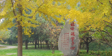 PG电子·仿照器(试玩游戏)官方网站