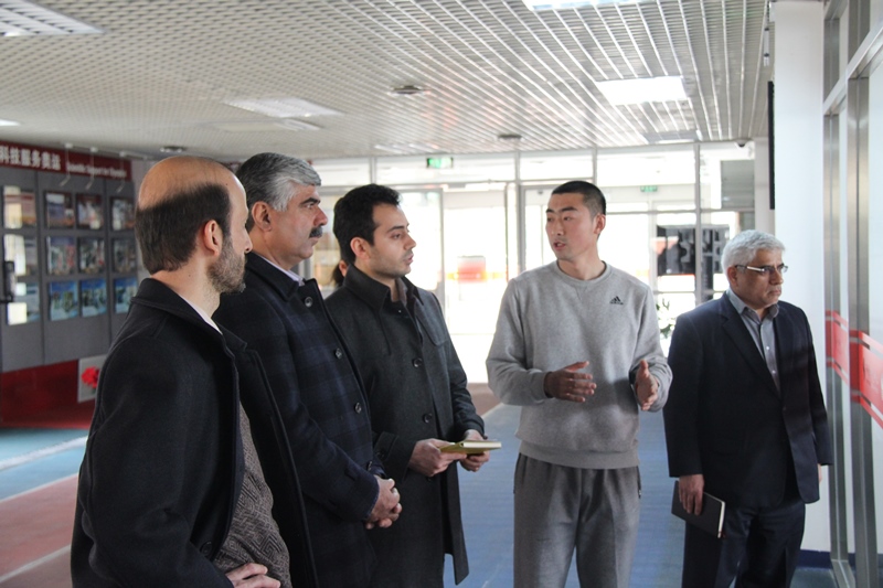 PG电子·仿照器(试玩游戏)官方网站