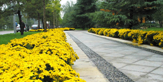 PG电子·仿照器(试玩游戏)官方网站