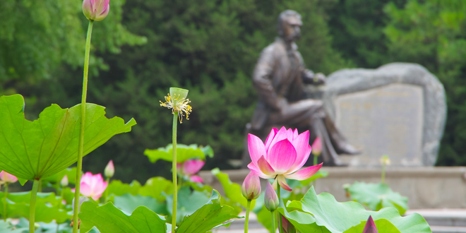 PG电子·仿照器(试玩游戏)官方网站