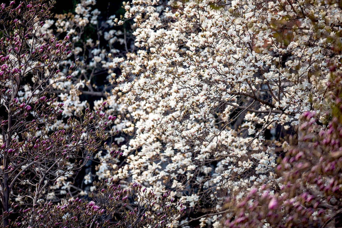 PG电子·仿照器(试玩游戏)官方网站