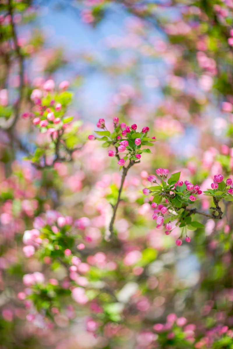 PG电子·仿照器(试玩游戏)官方网站