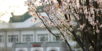 PG电子·仿照器(试玩游戏)官方网站