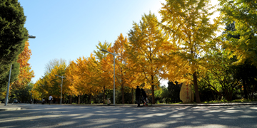 PG电子·仿照器(试玩游戏)官方网站