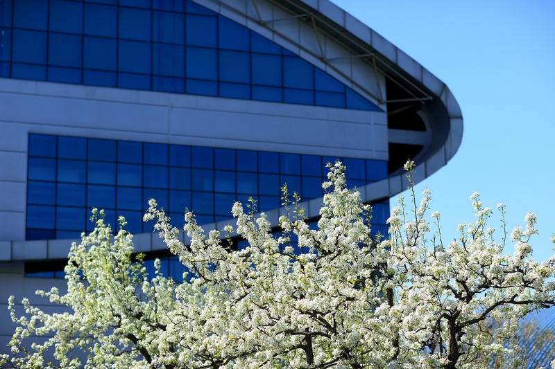 PG电子·仿照器(试玩游戏)官方网站