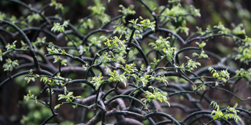 PG电子·仿照器(试玩游戏)官方网站