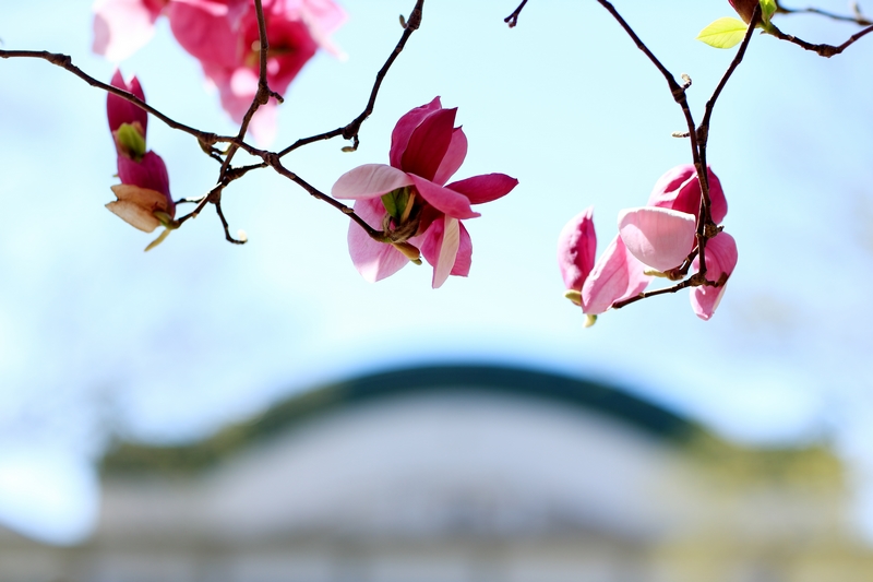 PG电子·仿照器(试玩游戏)官方网站