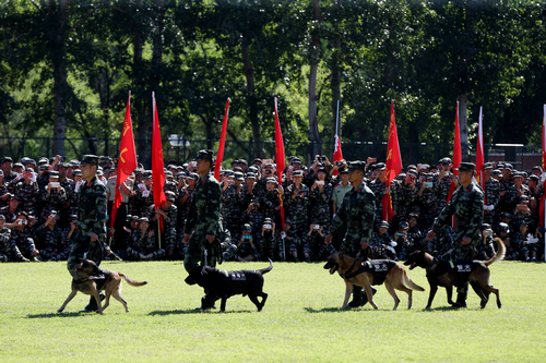 PG电子·仿照器(试玩游戏)官方网站