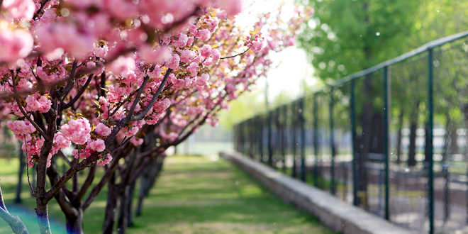 PG电子·仿照器(试玩游戏)官方网站