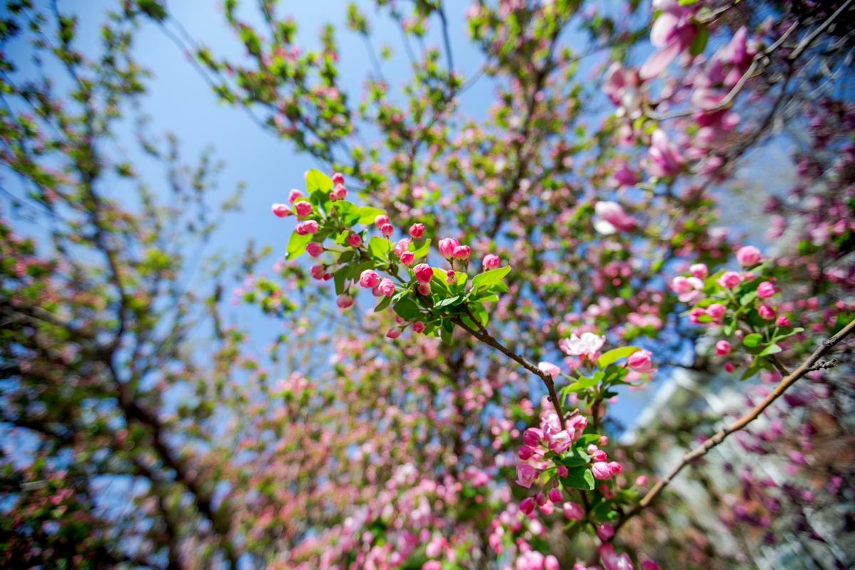 PG电子·仿照器(试玩游戏)官方网站