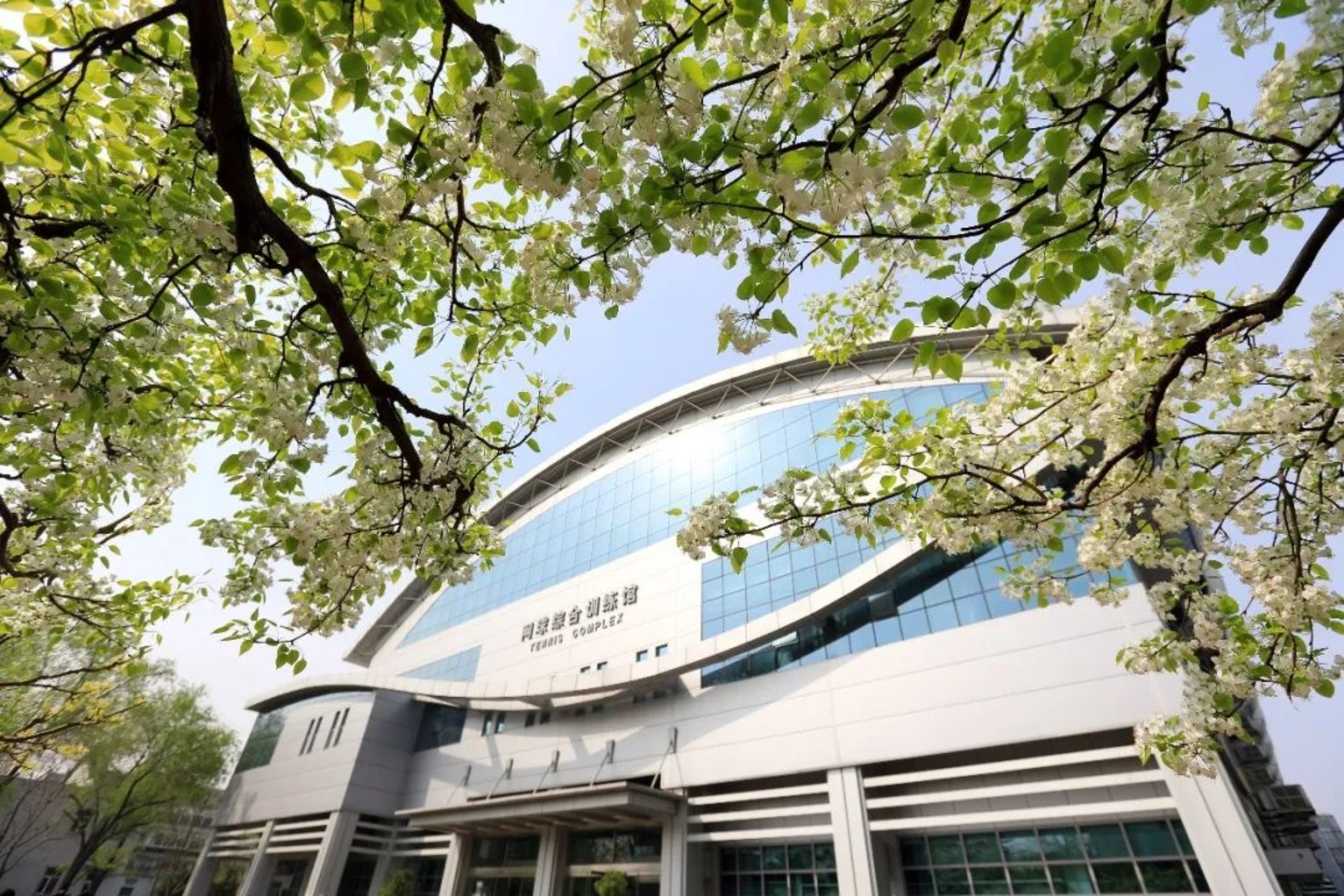 PG电子·仿照器(试玩游戏)官方网站