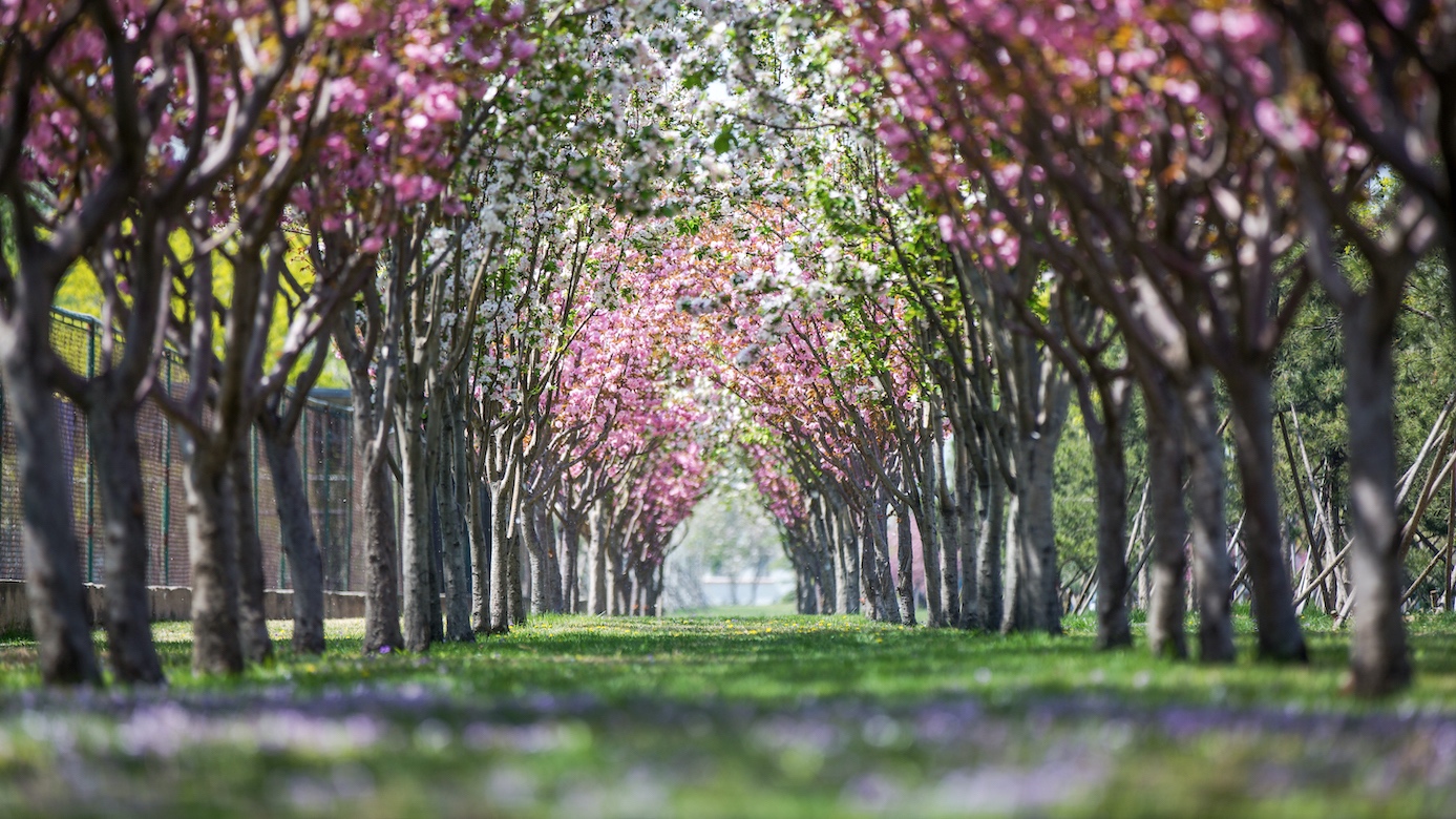 PG电子·仿照器(试玩游戏)官方网站