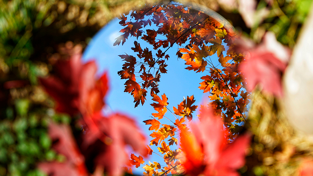 PG电子·仿照器(试玩游戏)官方网站