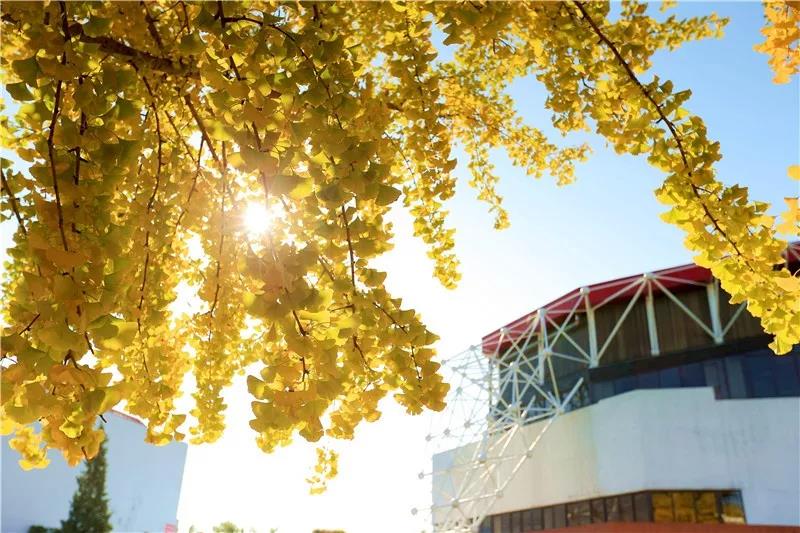 PG电子·仿照器(试玩游戏)官方网站