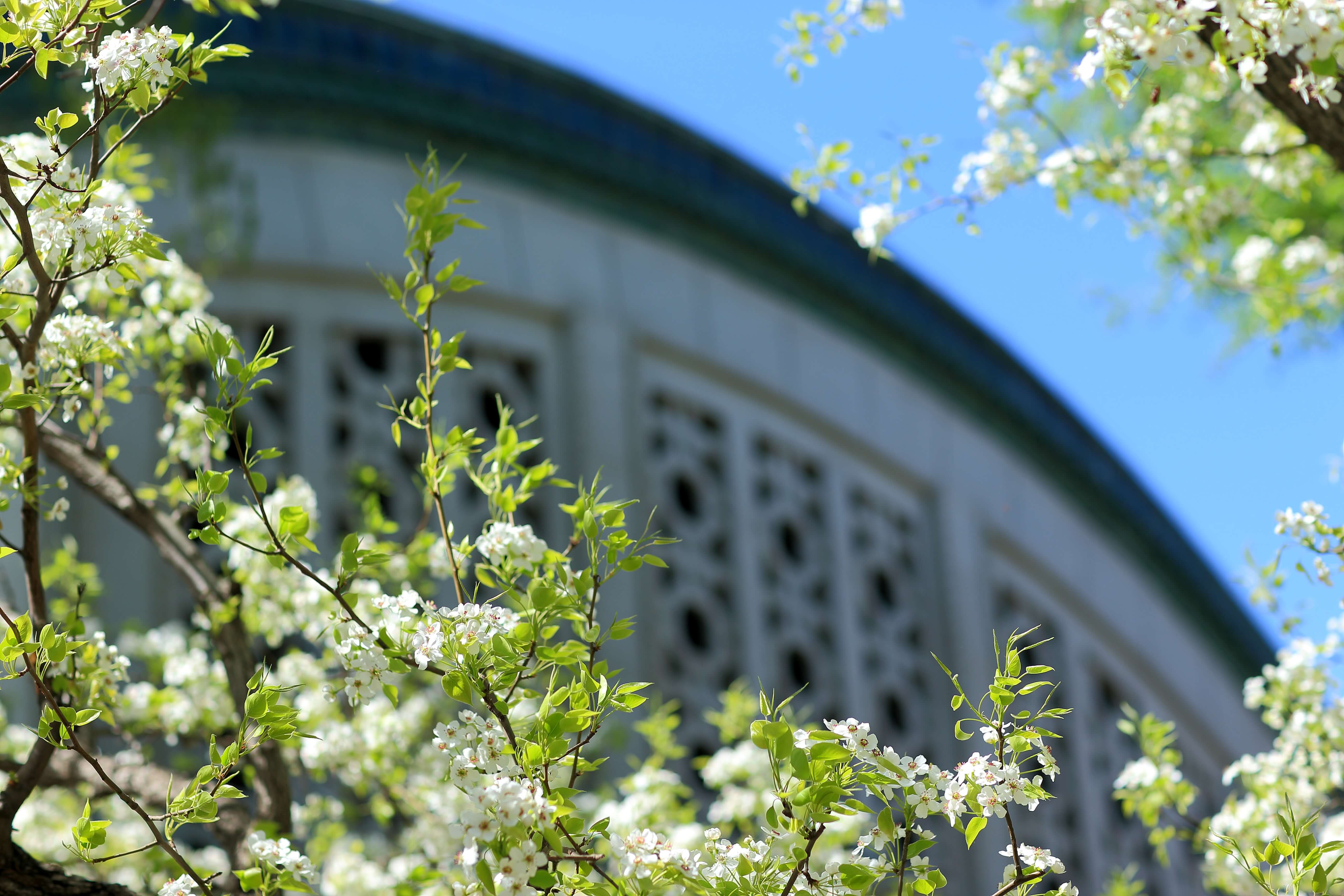 PG电子·仿照器(试玩游戏)官方网站