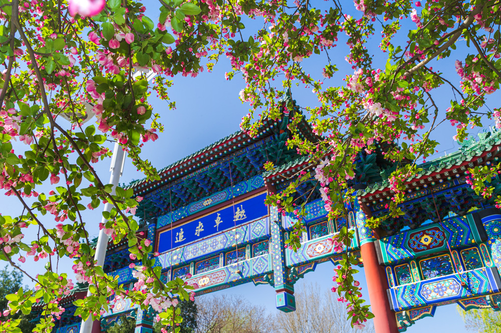 PG电子·仿照器(试玩游戏)官方网站