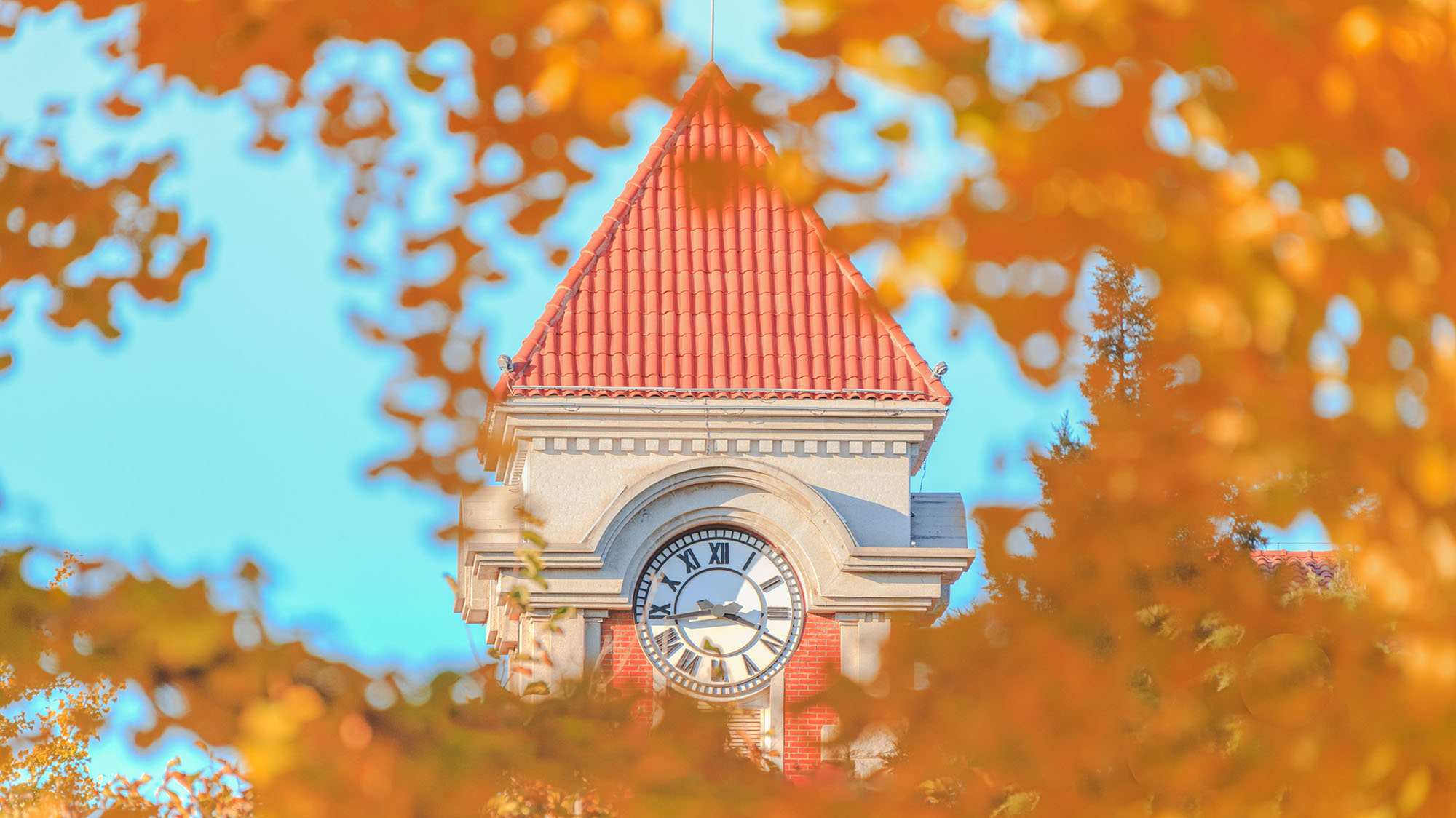 PG电子·仿照器(试玩游戏)官方网站