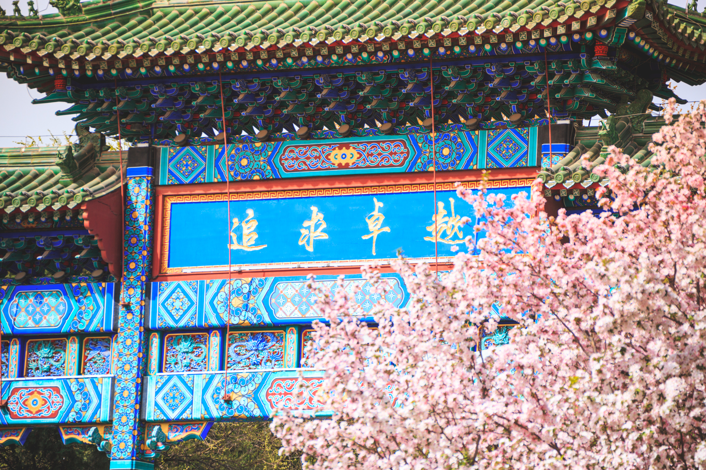 PG电子·仿照器(试玩游戏)官方网站