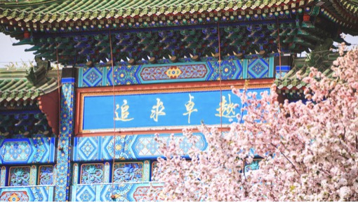 PG电子·仿照器(试玩游戏)官方网站