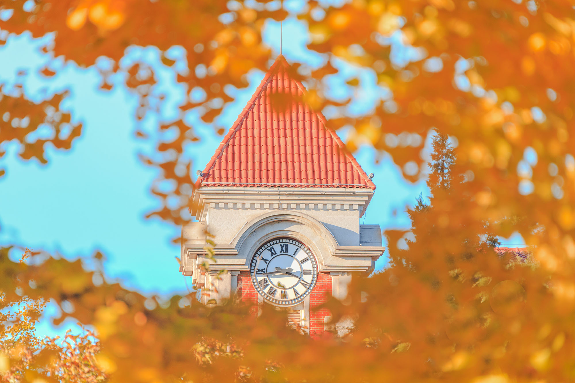 PG电子·仿照器(试玩游戏)官方网站