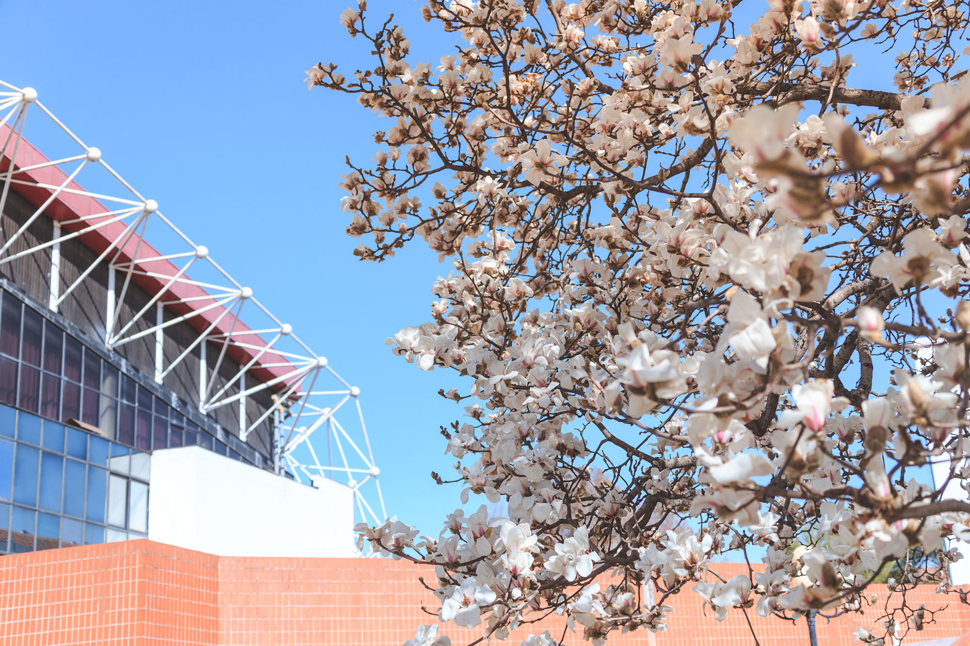 PG电子·仿照器(试玩游戏)官方网站